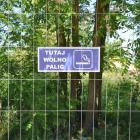 zdjęcie nr 13
