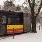 zdjęcie nr 1