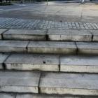 Zakrwawiona sarna biegała po Wrocławiu  Autor: Czytelnik