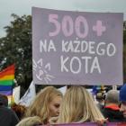 zdjęcie nr 11