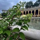 zdjęcie nr 9