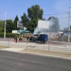   Autor: daf