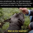 Fotka nr 5 z 18