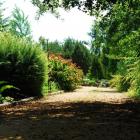   Autor: mat. Arboretum w Stradomi