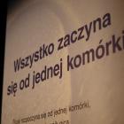 zdjęcie nr 25