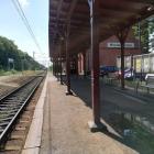zdjęcie nr 7