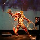 Body Worlds – Vital we Wrocławiu  Autor: Jakub Jurek