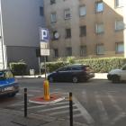 zdjęcie nr 8