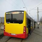 zdjęcie nr 10