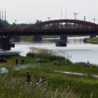zdjęcie nr 8