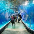 Do zoo we Wrocławiu oraz do Afrykarium można się wybrać przez cały długi majowy...