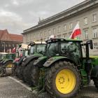 zdjęcie nr 8