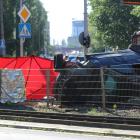 zdjęcie nr 31