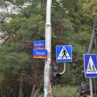 Przebudowa skrzyżowania Zachodniej, Rybackiej i Sikorskiego  Autor: Kinga Mierzwiak