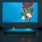 Hui Ye, „The Serene Garden”  Autor: Mat. pras.