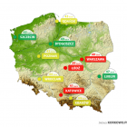   Autor: Korkowo.pl