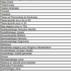 zdjęcie nr 39