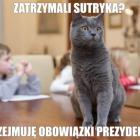 zdjęcie nr 10