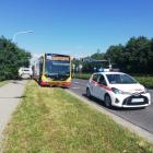 zdjęcie nr 7