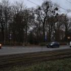 zdjęcie nr 8