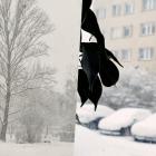 zdjęcie nr 12