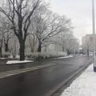 zdjęcie nr 32
