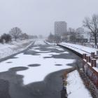 zdjęcie nr 7