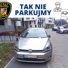 zdjęcie nr 11