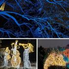  Ogród Botaniczny Uniwersytetu Wrocławskiego  rozpoczyna kolejną edycję pokazów...