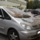 zdjęcie nr 10
