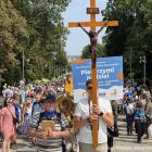 zdjęcie nr 15