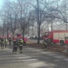   Autor: czytelnik