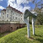 zdjęcie nr 8