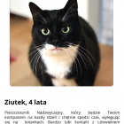 zdjęcie nr 18