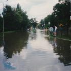 zdjęcie nr 31