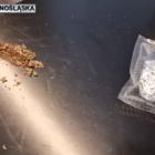   Autor: Policja Dolnośląska