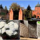 Ile w tym roku kosztują znicze i chryzantemy? [CENY NA CMENTARZACH]  Autor: Jakub Jurek