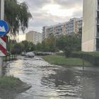 zdjęcie nr 10