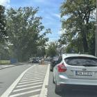 zdjęcie nr 13