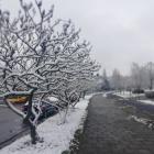 zdjęcie nr 33