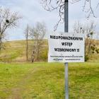 zdjęcie nr 8