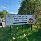 zdjęcie nr 13