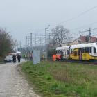 zdjęcie nr 2
