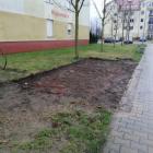 zdjęcie nr 7