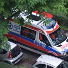 zdjęcie nr 8