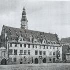 zdjęcie nr 11