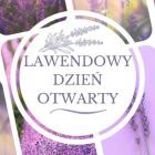 Lawendy Średzkie - plantacja lawendy koło Środy Śląskiej - zaprasza na dzień otwarty. W...