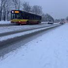 zdjęcie nr 13