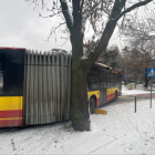 zdjęcie nr 8