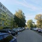 zdjęcie nr 8
